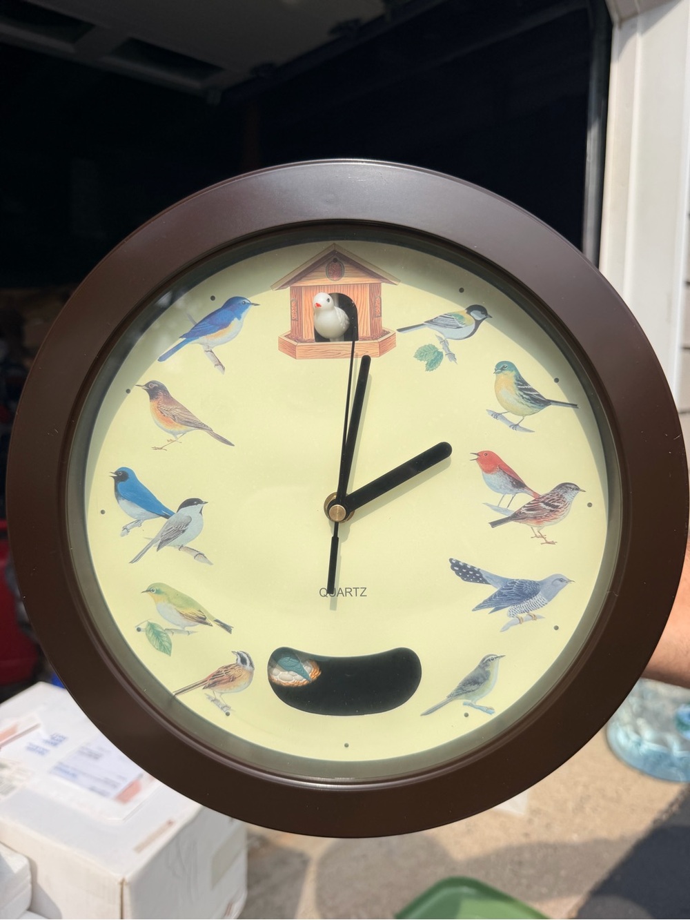 New 12 Singing Bird Wall Clock with 12 Bird Songs Every Hour – Original Box